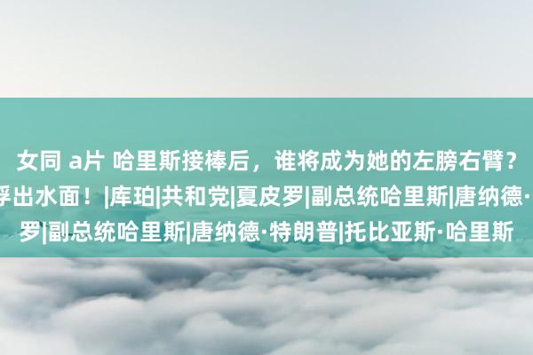 女同 a片 哈里斯接棒后，谁将成为她的左膀右臂？四大热点东说念主选浮出水面！|库珀|共和党|夏皮罗|副总统哈里斯|唐纳德·特朗普|托比亚斯·哈里斯