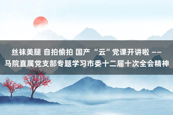 丝袜美腿 自拍偷拍 国产 “云”党课开讲啦 ——马院直属党支部专题学习市委十二届十次全会精神