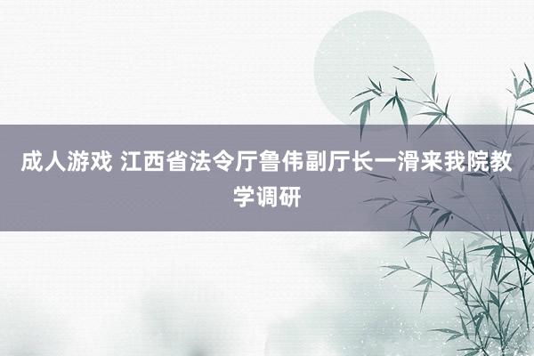 成人游戏 江西省法令厅鲁伟副厅长一滑来我院教学调研